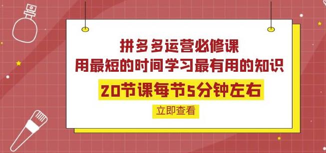 拼多多运营必修课：20节课每节5分钟左右，用最短的时间学习最有用的知识-YOUYOU资源网-精品资源共享网-软件资源-源码资源-教程资源丨YOUYOULL.COM