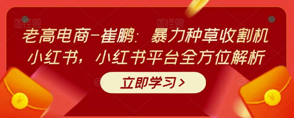 老高电商-崔鹏：暴力种草收割机小红书，小红书平台全方位解析-YOUYOU资源网-精品资源共享网-软件资源-源码资源-教程资源丨YOUYOULL.COM